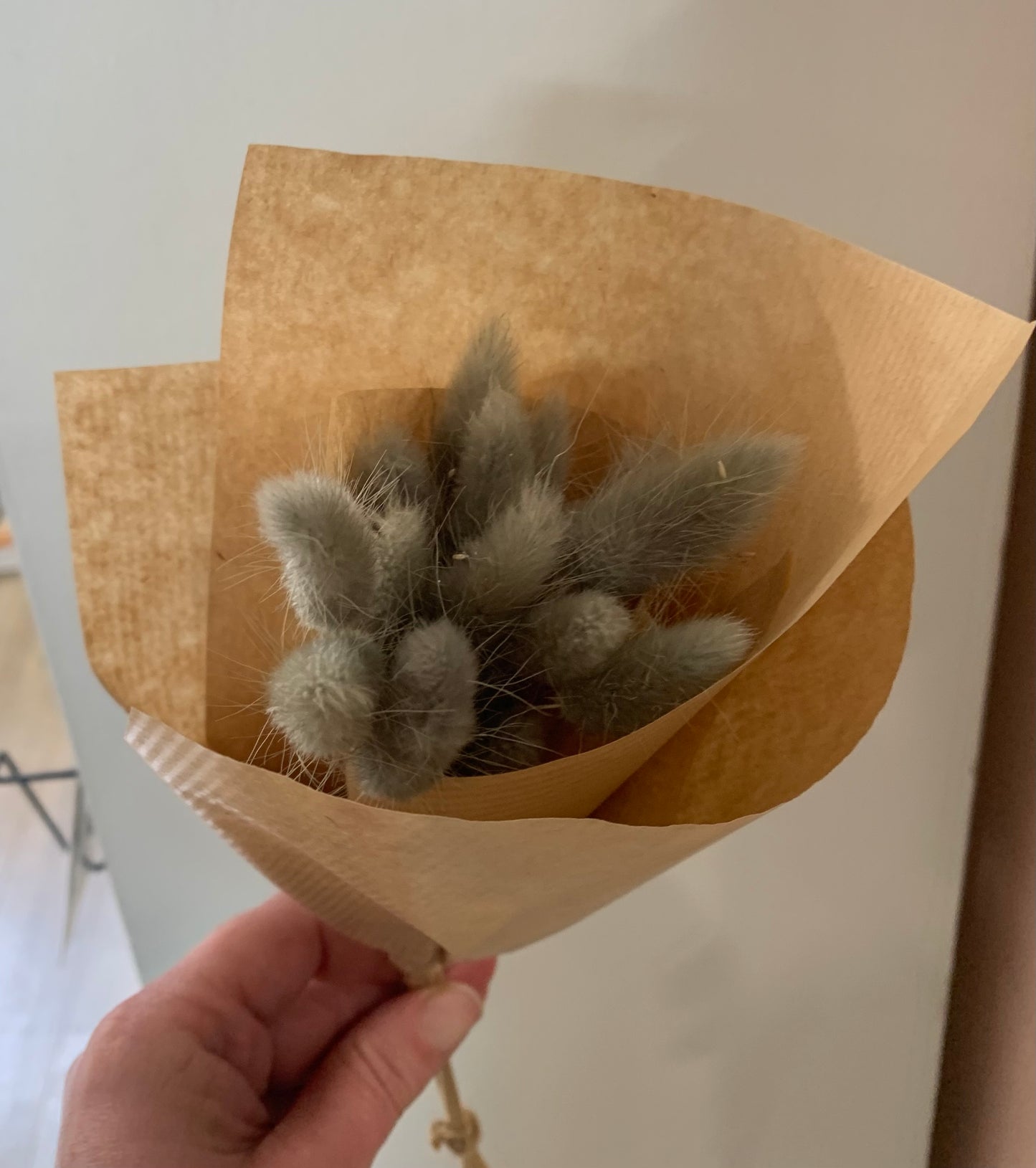 Dried Bunny Tails