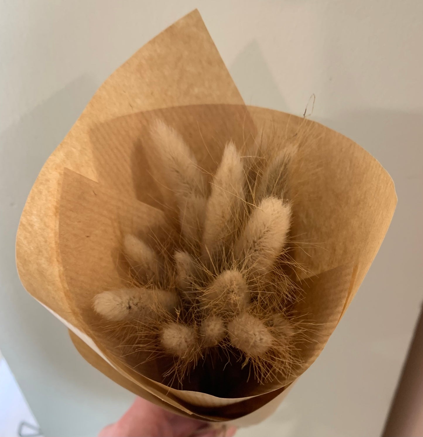 Dried Bunny Tails