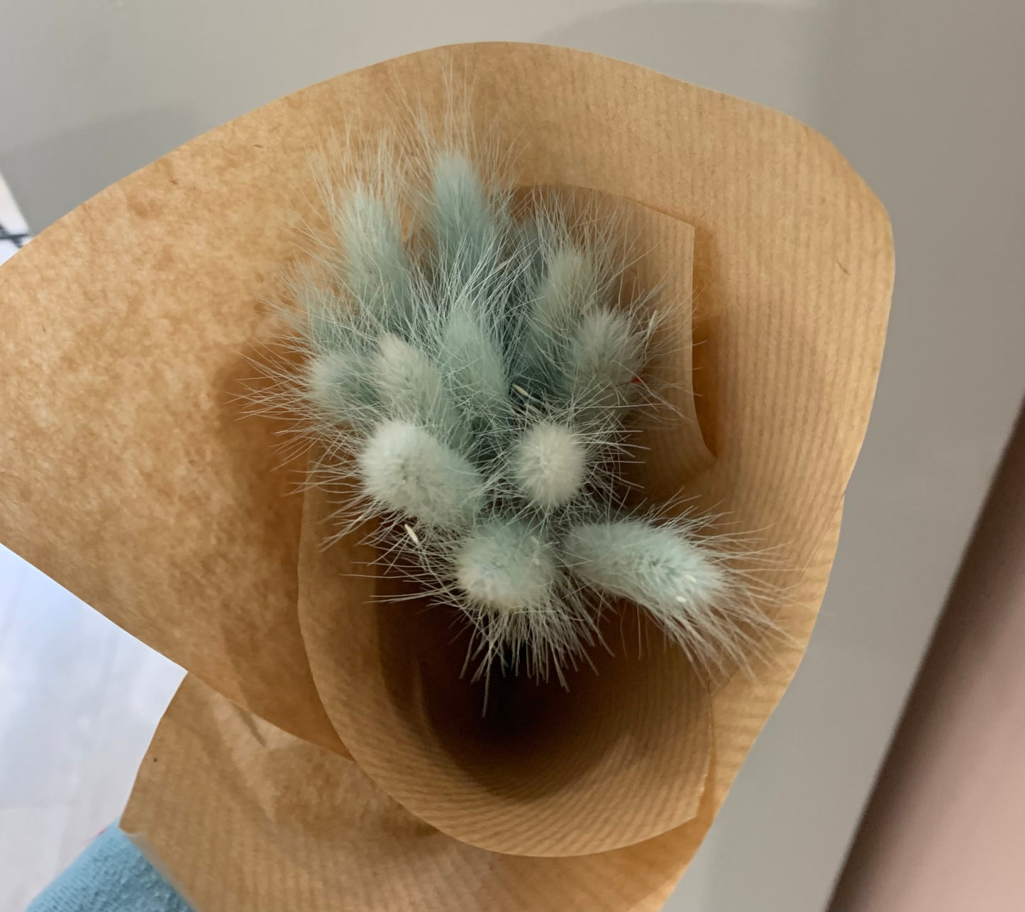 Dried Bunny Tails